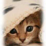 ヒメ日記 2025/04/13 13:20 投稿 とわ タレント倶楽部Around40