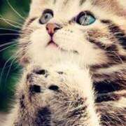 ヒメ日記 2025/05/01 21:54 投稿 とわ タレント倶楽部Around40