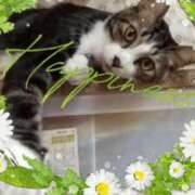 ヒメ日記 2025/05/11 15:04 投稿 とわ タレント倶楽部Around40