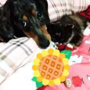 ヒメ日記 2025/06/10 15:08 投稿 とわ タレント倶楽部Around40