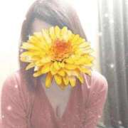 ヒメ日記 2025/06/24 18:48 投稿 とわ タレント倶楽部Around40