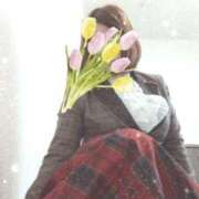 ヒメ日記 2025/07/08 02:54 投稿 とわ タレント倶楽部Around40