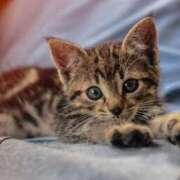 ヒメ日記 2025/07/28 18:32 投稿 とわ タレント倶楽部Around40