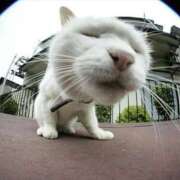 ヒメ日記 2025/08/04 17:42 投稿 とわ タレント倶楽部Around40