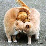 ヒメ日記 2025/08/19 18:56 投稿 とわ タレント倶楽部Around40