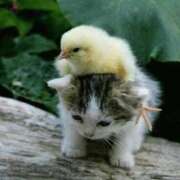 ヒメ日記 2025/08/29 18:40 投稿 とわ タレント倶楽部Around40