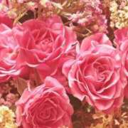 ヒメ日記 2025/09/03 18:42 投稿 とわ タレント倶楽部Around40