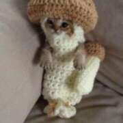 ヒメ日記 2025/09/14 17:56 投稿 とわ タレント倶楽部Around40