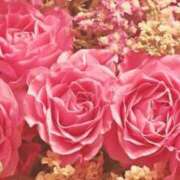 ヒメ日記 2025/10/07 18:38 投稿 とわ タレント倶楽部Around40