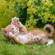 ヒメ日記 2025/10/09 18:30 投稿 とわ タレント倶楽部Around40