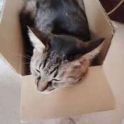 ヒメ日記 2025/11/14 17:32 投稿 とわ タレント倶楽部Around40