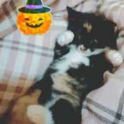 ヒメ日記 2025/11/19 18:50 投稿 とわ タレント倶楽部Around40