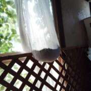 とわ こんばんわ タレント倶楽部Around40