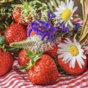 ヒメ日記 2025/12/08 17:44 投稿 とわ タレント倶楽部Around40