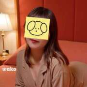 ヒメ日記 2025/07/25 22:35 投稿 百合園わこ 五反田発 痴漢電車or全裸入室