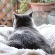 ヒメ日記 2025/04/22 12:10 投稿 りお 奥様の実話 谷九店