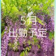 ヒメ日記 2025/05/02 02:32 投稿 りお 奥様の実話 谷九店