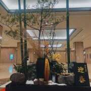 ヒメ日記 2024/12/30 21:33 投稿 あさひ 子猫カフェ 小倉店