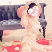 ヒメ日記 2025/06/11 10:28 投稿 あさひ 子猫カフェ 小倉店