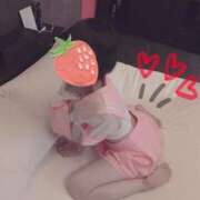 ヒメ日記 2025/06/19 17:45 投稿 あさひ 子猫カフェ 小倉店