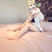 ヒメ日記 2025/09/02 10:15 投稿 あさひ 子猫カフェ 小倉店