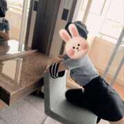 ヒメ日記 2025/10/09 18:03 投稿 あさひ 子猫カフェ 小倉店