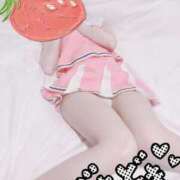 ヒメ日記 2026/01/19 10:14 投稿 あさひ 子猫カフェ 小倉店