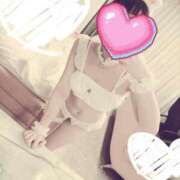 ヒメ日記 2026/01/19 18:28 投稿 あさひ 子猫カフェ 小倉店