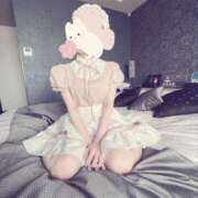 ヒメ日記 2026/02/14 14:56 投稿 あさひ 子猫カフェ 小倉店