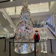 ヒメ日記 2024/12/15 15:45 投稿 なみ ゴールドクイーン