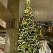 ヒメ日記 2024/12/18 15:40 投稿 なみ ゴールドクイーン