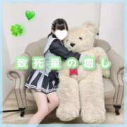 ヒメ日記 2025/02/12 19:23 投稿 星野　ねね 妄想する女学生たち 梅田校