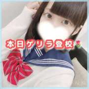 ヒメ日記 2025/02/15 09:06 投稿 星野　ねね 妄想する女学生たち 梅田校