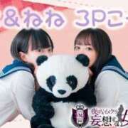 ヒメ日記 2025/04/22 02:23 投稿 星野　ねね 妄想する女学生たち 梅田校