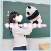 ヒメ日記 2025/05/22 07:33 投稿 星野　ねね 妄想する女学生たち 梅田校