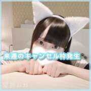 ヒメ日記 2025/09/07 13:16 投稿 星野　ねね 妄想する女学生たち 梅田校