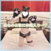 ヒメ日記 2025/11/11 20:46 投稿 星野　ねね 妄想する女学生たち 梅田校