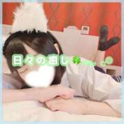 ヒメ日記 2025/12/10 07:46 投稿 星野　ねね 妄想する女学生たち 梅田校