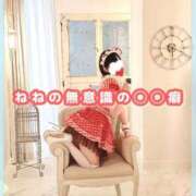 ヒメ日記 2026/04/06 07:16 投稿 星野　ねね 妄想する女学生たち 梅田校