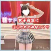 ヒメ日記 2026/05/02 18:06 投稿 星野　ねね 妄想する女学生たち 梅田校