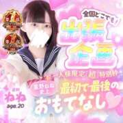 ヒメ日記 2026/05/30 15:36 投稿 星野　ねね 妄想する女学生たち 梅田校