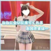 ヒメ日記 2026/07/08 19:06 投稿 星野　ねね 妄想する女学生たち 梅田校