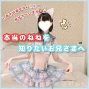 ヒメ日記 2026/08/30 16:06 投稿 星野　ねね 妄想する女学生たち 梅田校