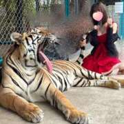 ヒメ日記 2025/02/15 21:37 投稿 みき ハニープラザ（ユメオト）