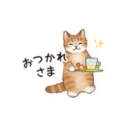 ヒメ日記 2025/02/17 23:42 投稿 みき ハニープラザ（ユメオト）