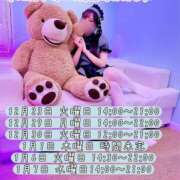 ヒメ日記 2025/12/12 08:16 投稿 みかさ アリスカフェ