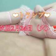 ヒメ日記 2026/02/20 23:40 投稿 トランプ ドＭなバニーちゃん小倉店