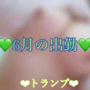 トランプ 💚6月の出勤予定💚 ドＭなバニーちゃん小倉店