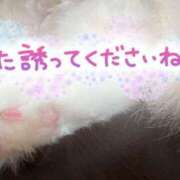 ヒメ日記 2025/08/18 10:52 投稿 金田朝香 五十路マダム金沢店