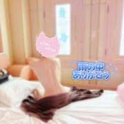 ヒメ日記 2026/04/10 15:03 投稿 ★ふうか★ 沼津発 人妻デリヘル お蝶婦人